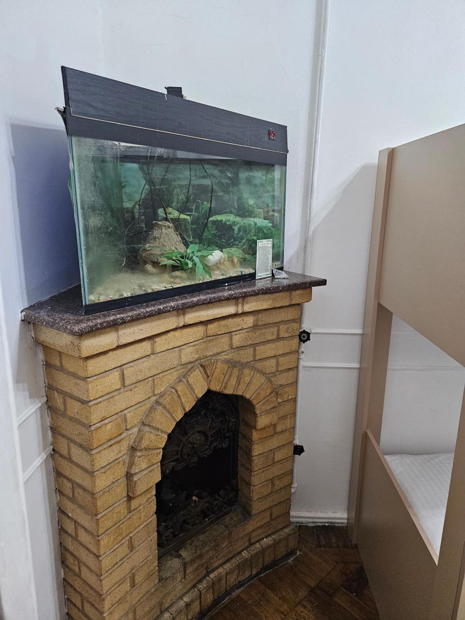 Freestyle Hostel Baku Zewnętrze zdjęcie
